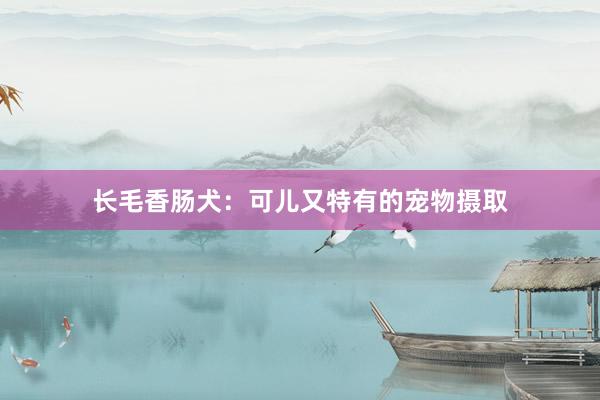 长毛香肠犬：可儿又特有的宠物摄取